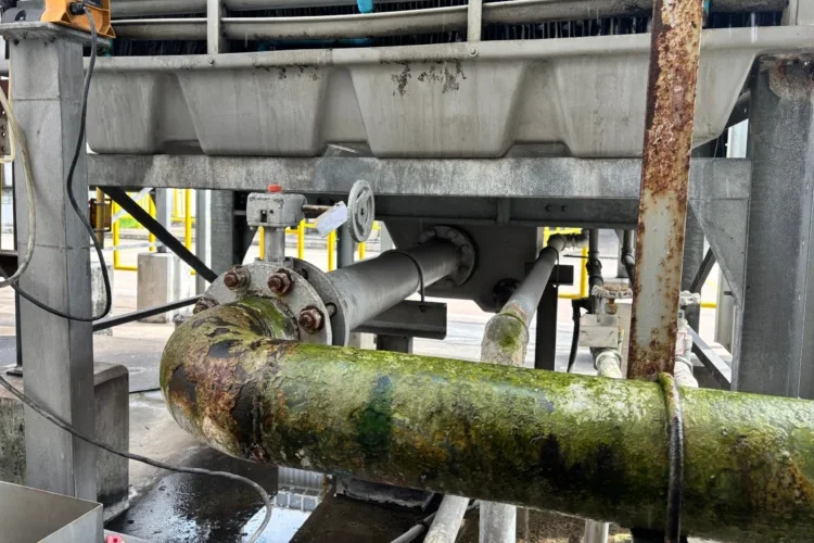 Algae covers the outside of a cooling tower's pipes, showing the tower needs a cleaning.